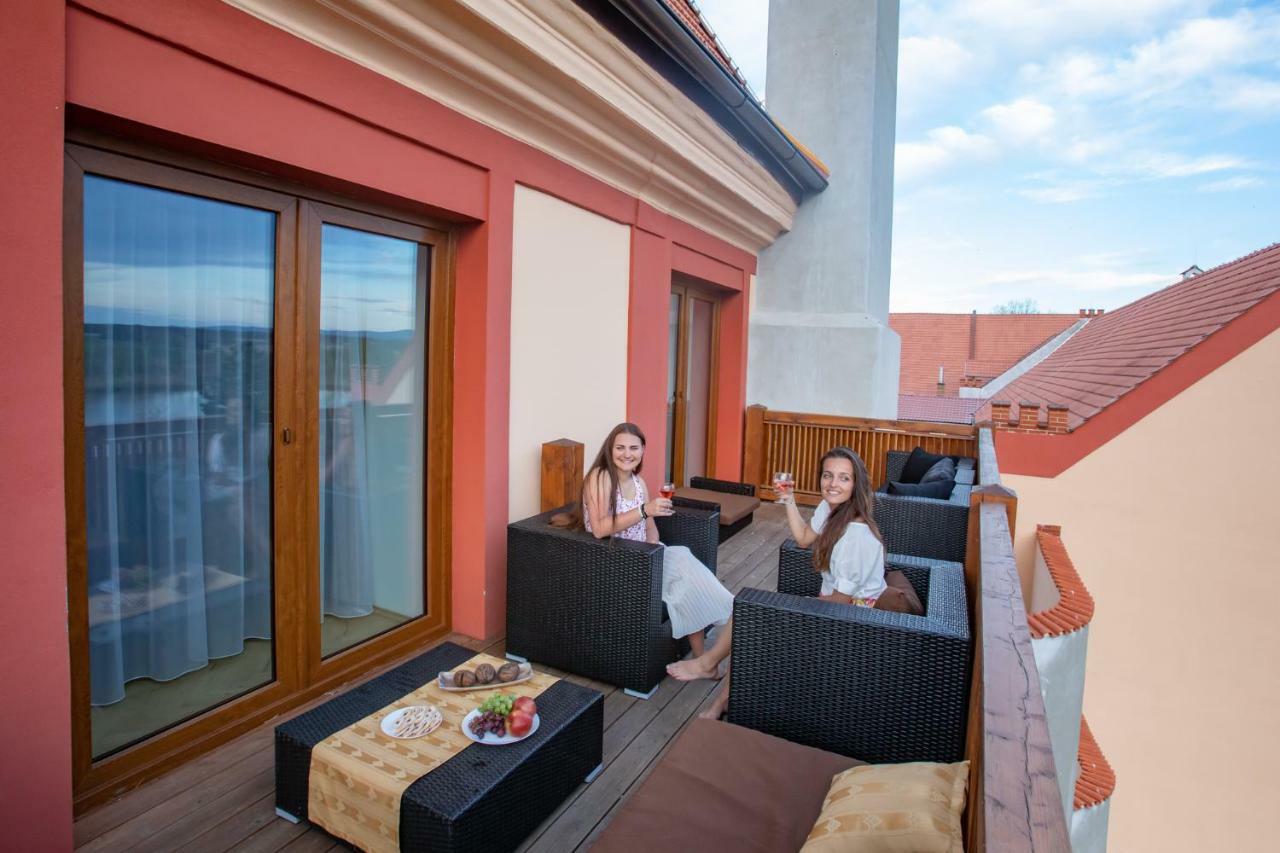 Residence Safari Resort - Chateau Borovany  外观 照片